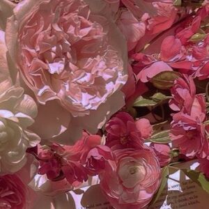 Meet the posher, Eva